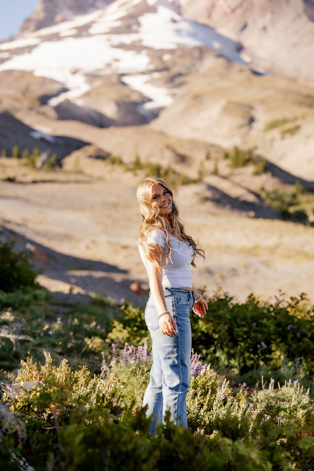 Scenic mountain meadow with wildflowers and snow-covered peaks in the background.