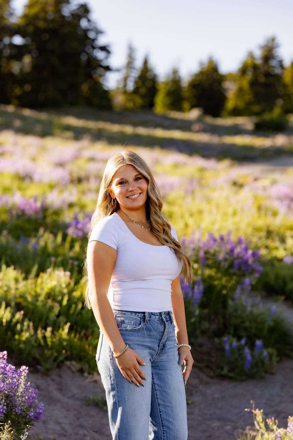 Candid outdoor photography in field of purple lupines during golden hour.