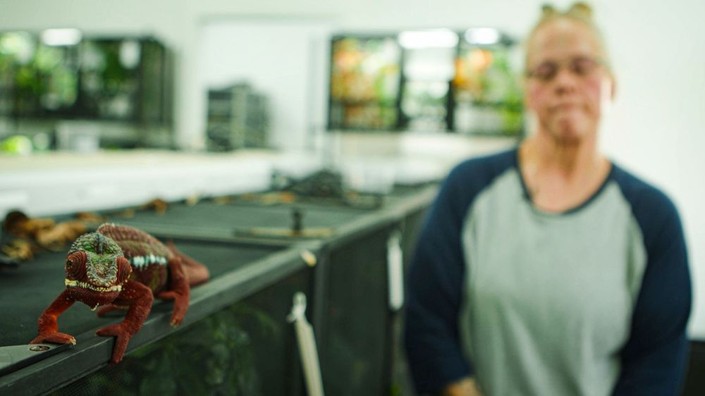 People collaborating in a commercial kitchen space with industrial equipment and storage shelves.