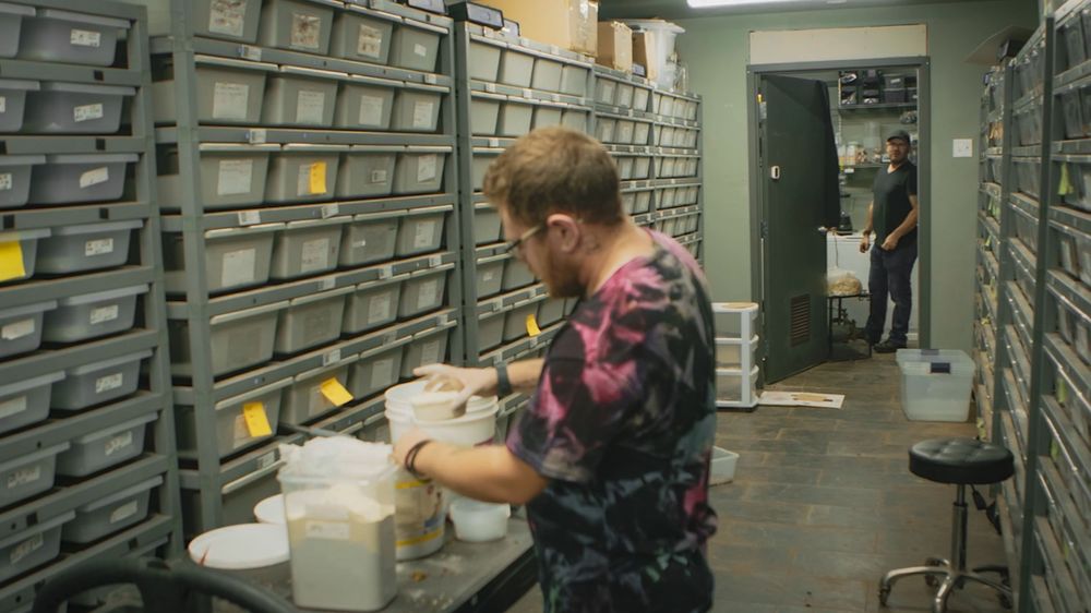 A person works in a warehouse aisle stocked with industrial shelving units containing various stored items.