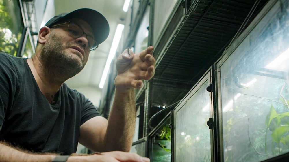 A person wearing a dark shirt and hat holds a beverage while looking through a window in an interior setting.