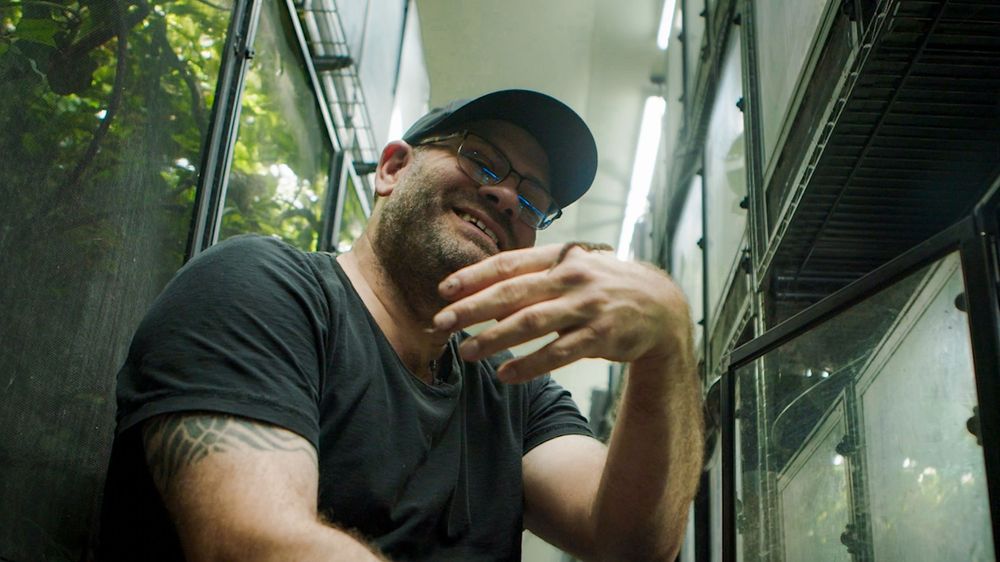 Person in black t-shirt and baseball cap laughing while covering their face outdoors.