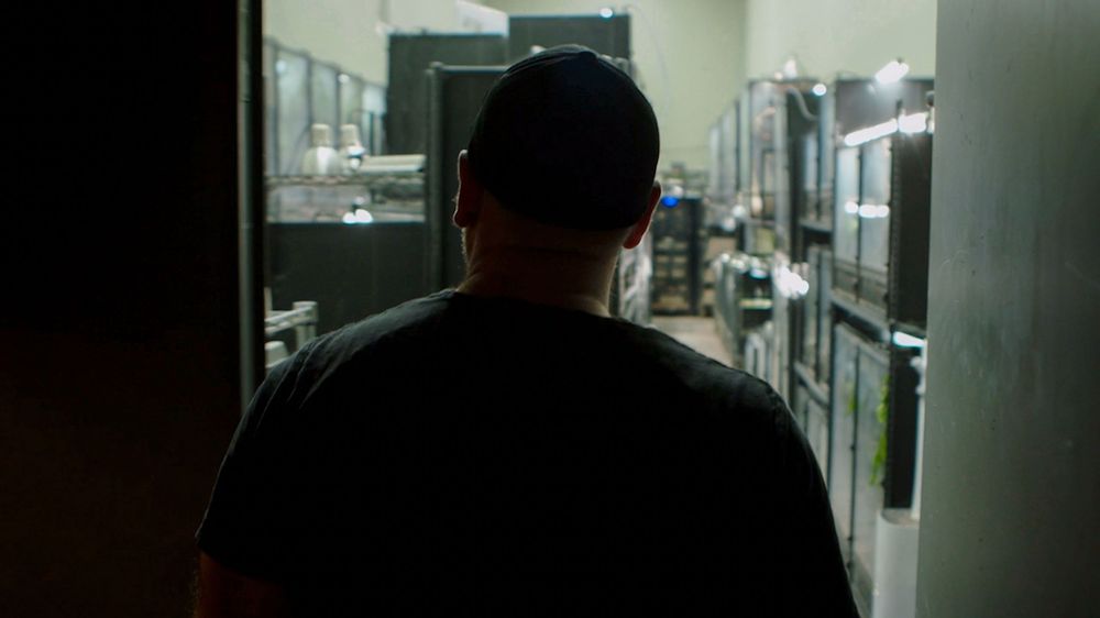 A dark silhouette of a person walking through a dimly lit hallway with glass walls and reflective surfaces.