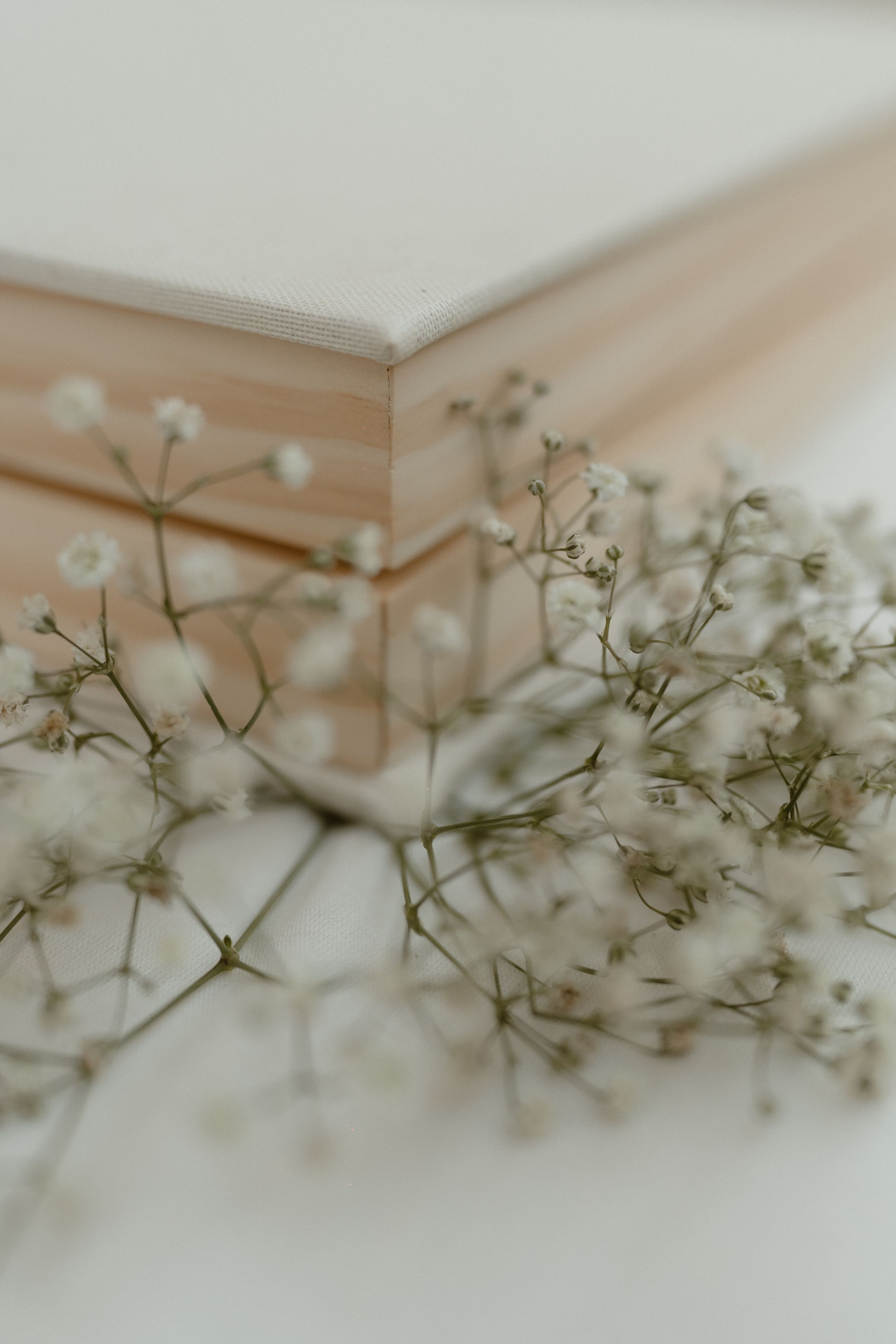 Delicate white baby's breath flowers arranged in a soft focus horizontal composition against a light background.