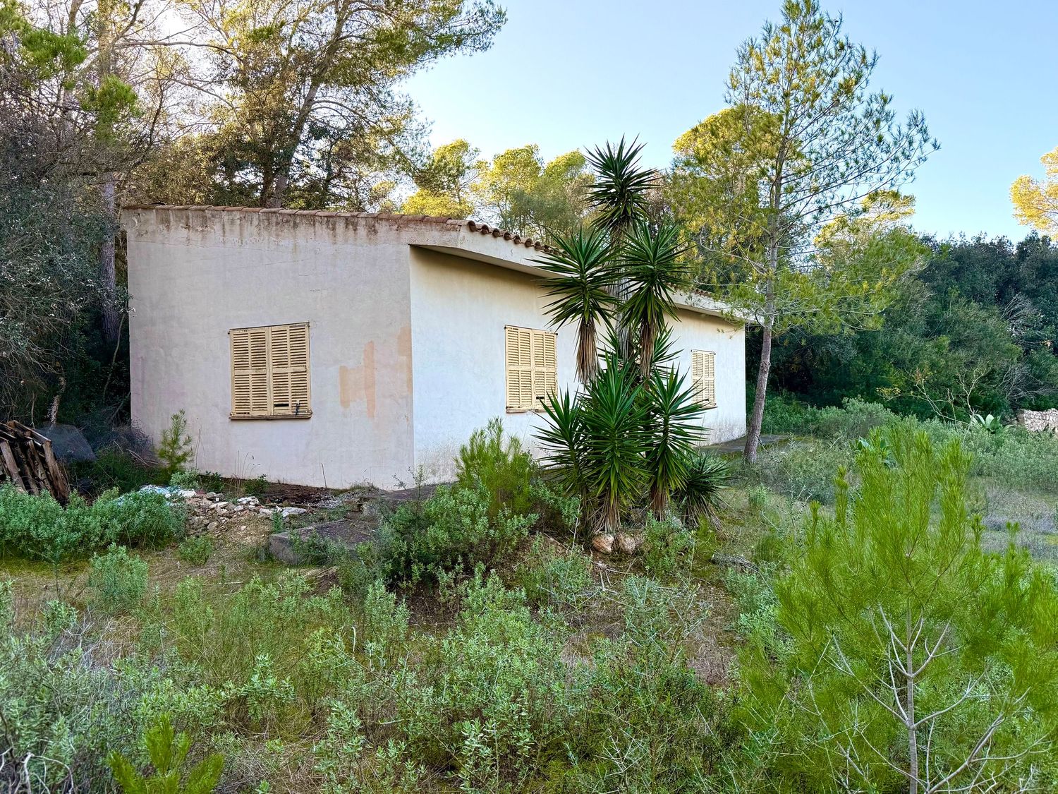 Mediterranean countryside property with white buildings, stone paths, and native vegetation surrounded by pine trees.