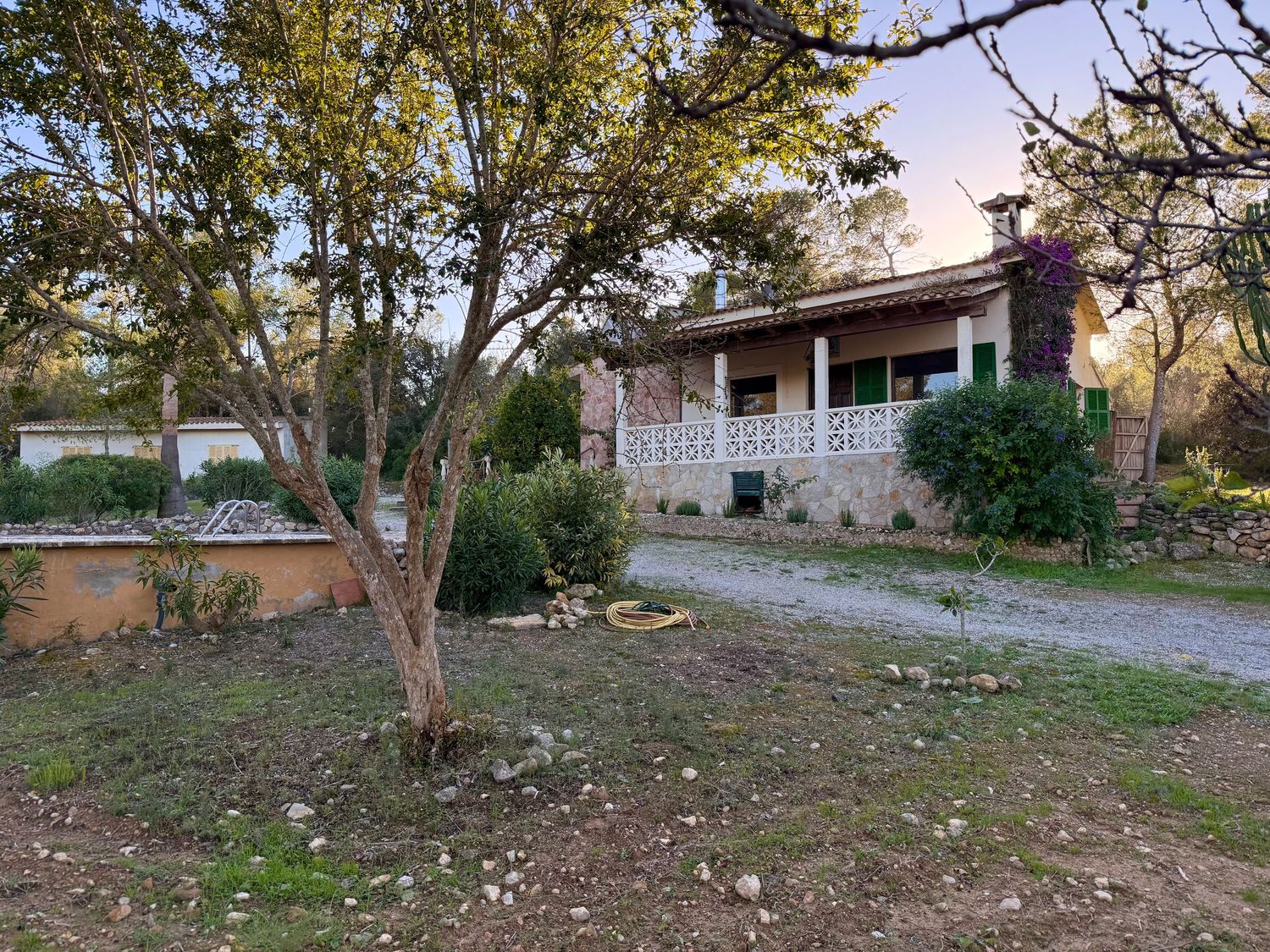 A series of overgrown vacant lots with abandoned buildings and scattered debris in a residential neighborhood.