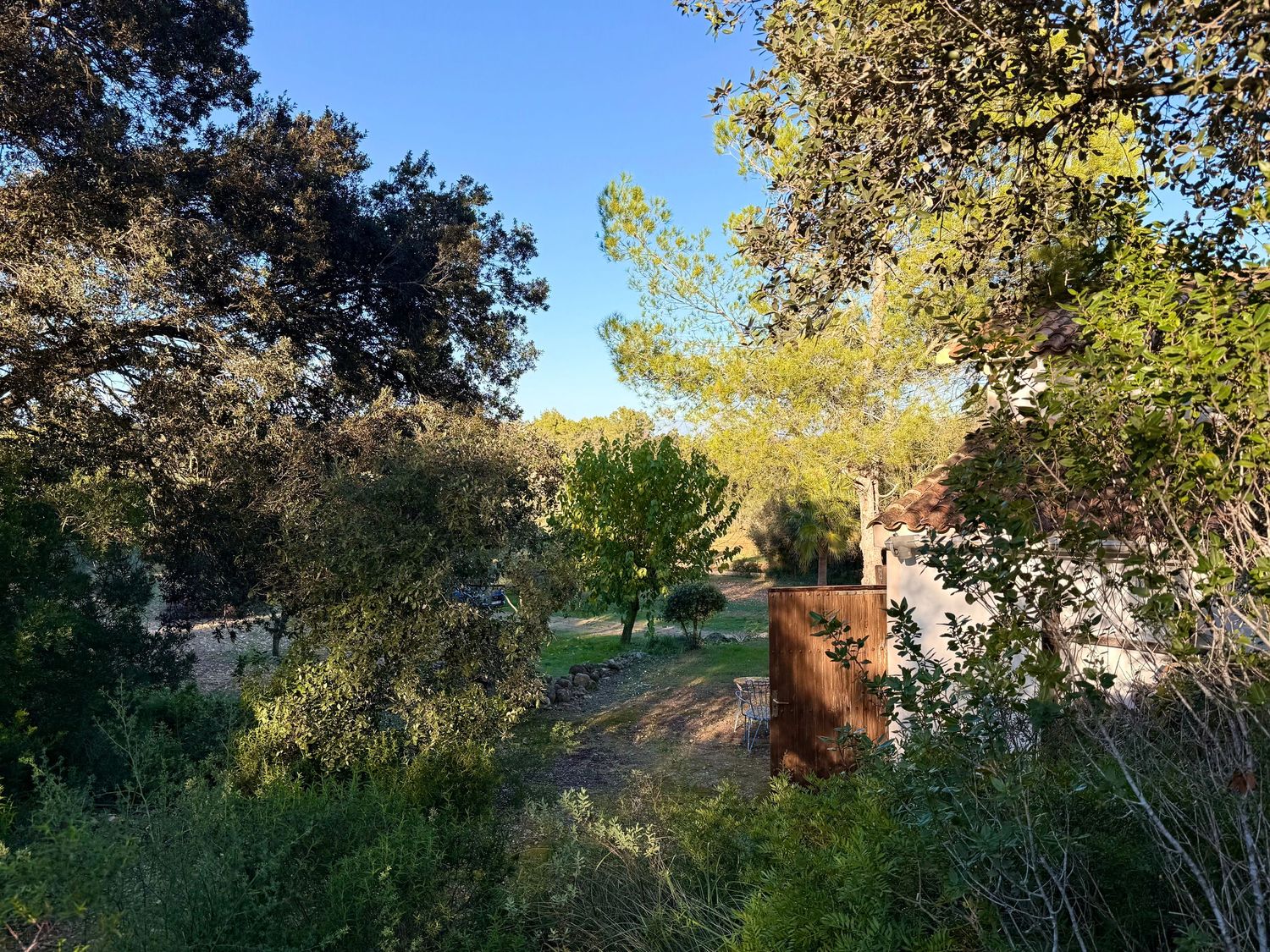 A series of panoramic landscape photos showing a tree-lined path through a park on a sunny autumn day.