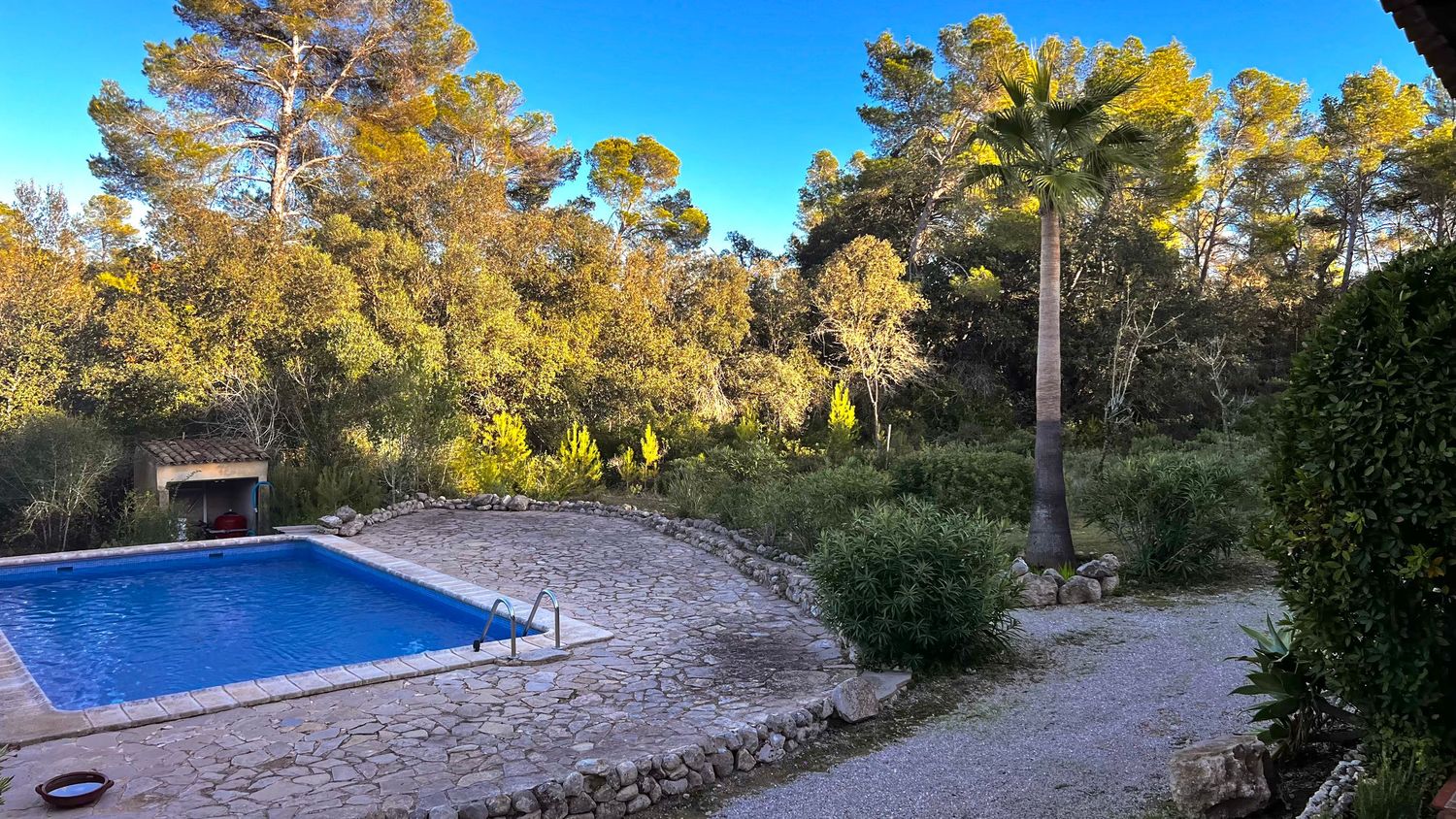Panoramic view of a Mediterranean villa with swimming pool surrounded by pine trees and stone walls in golden sunlight.