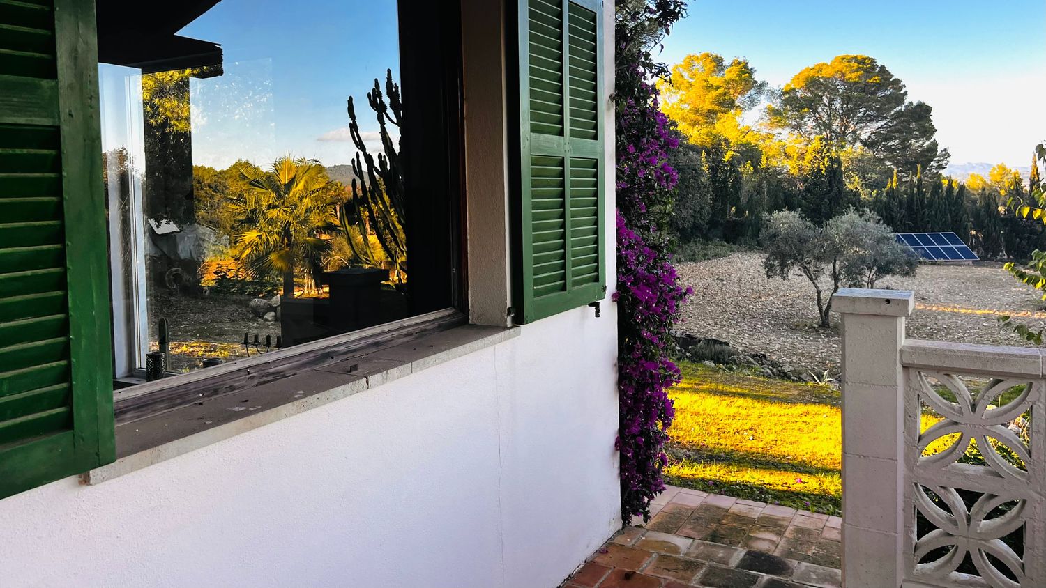 Green shutters frame a window view of a sunny garden with yellow flowers and trees in the background.