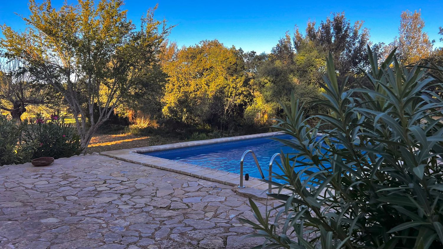 A swimming pool surrounded by stone patio and autumn trees with golden foliage in late afternoon light.