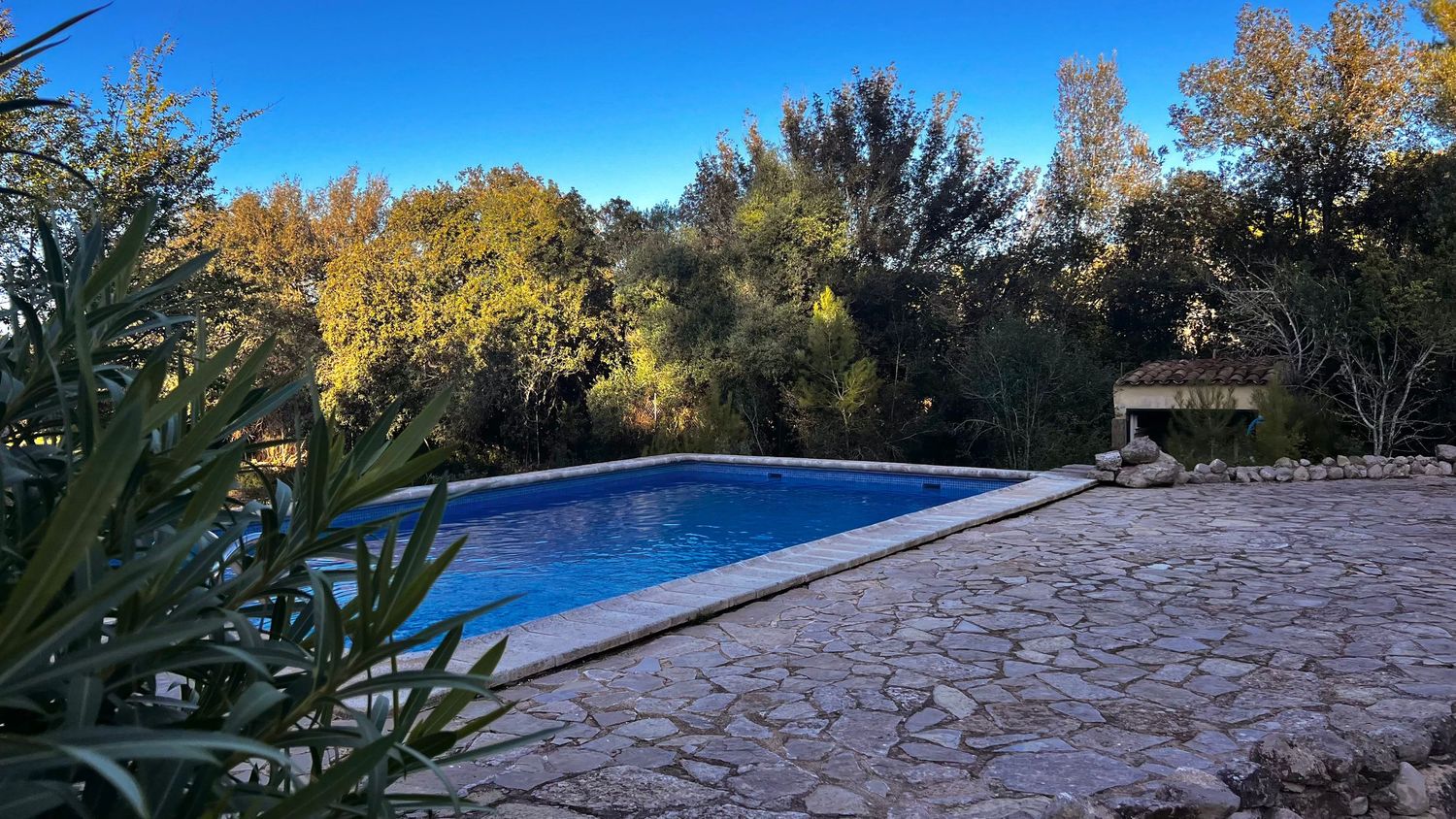 A panoramic view of an autumn landscape with colorful trees and a swimming pool under a bright blue sky.