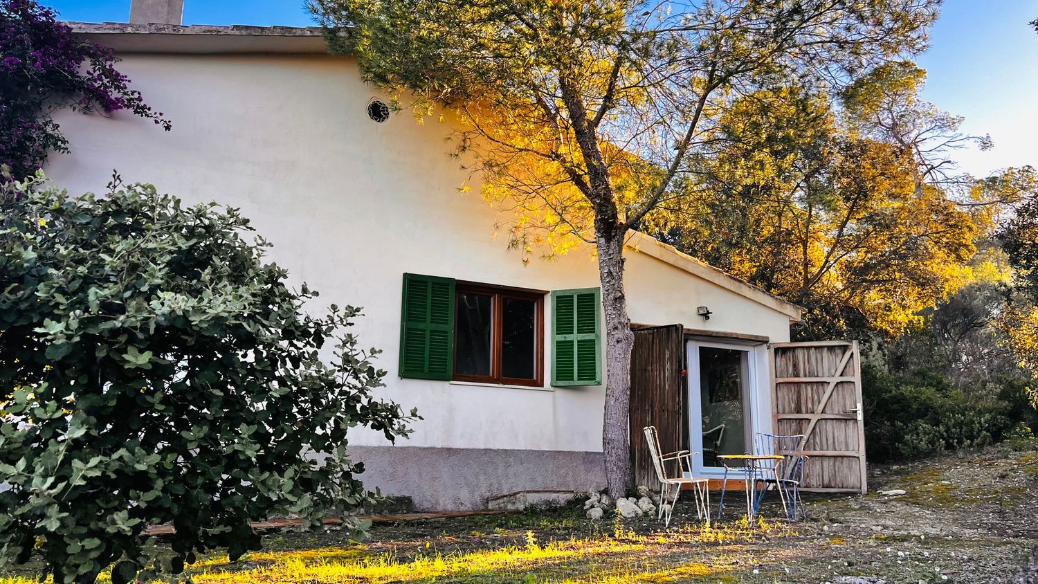 A panoramic view of a white building with green windows surrounded by fall foliage and trees.