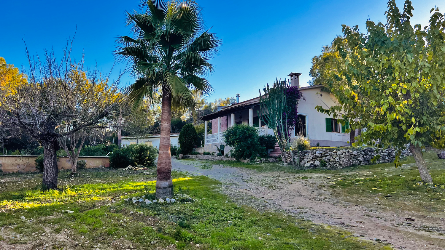 Panoramic view of a desert property with palm trees and white buildings against a bright blue sky.