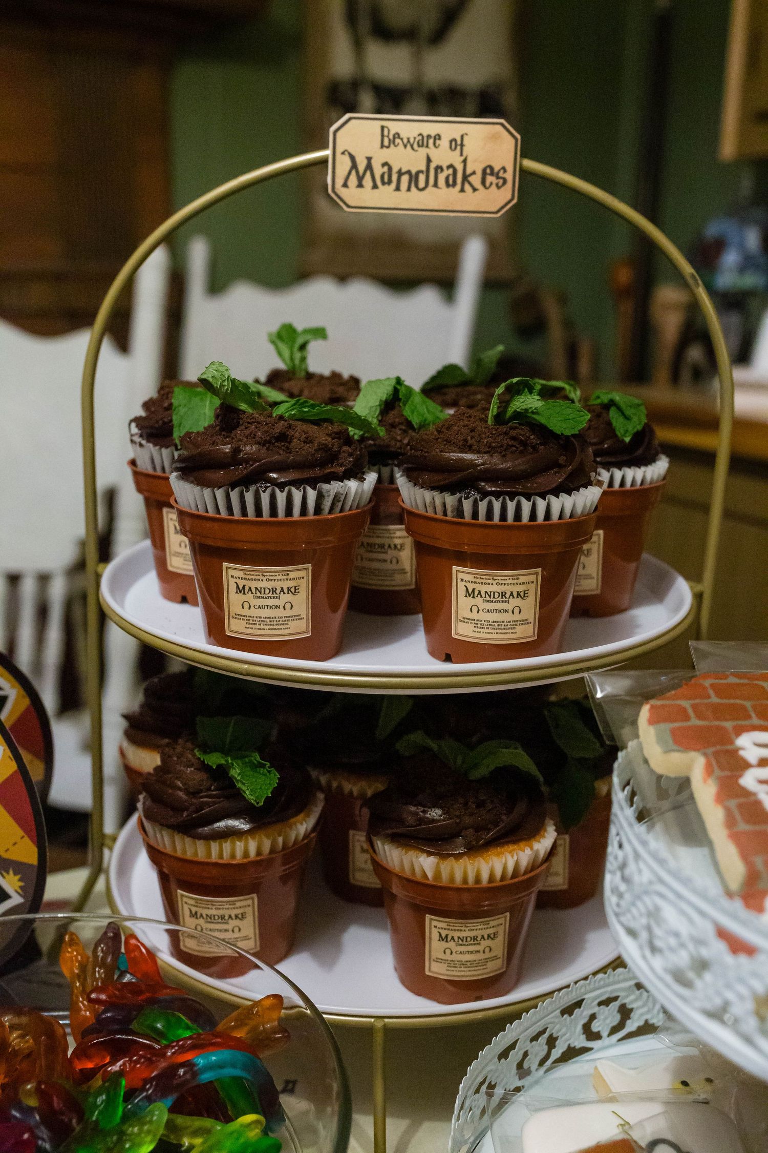 Chocolate cupcakes with green plant decorations displayed on elegant tiered serving plates at a themed party setting.