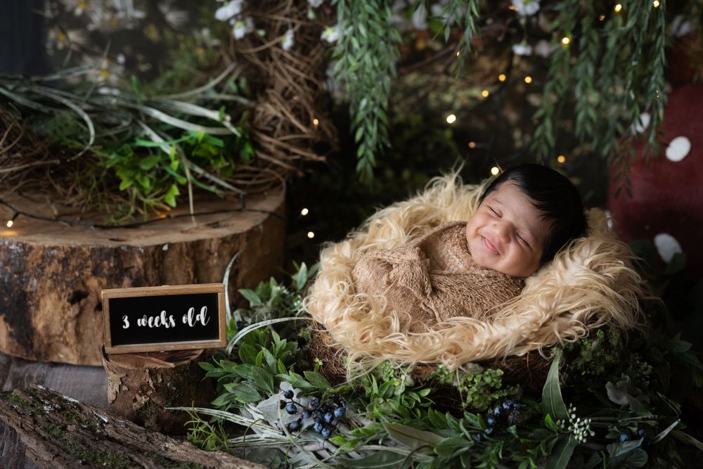Rustic woodland themed newborn photography setup with natural elements and twinkling lights.