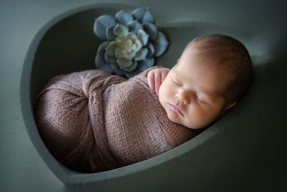 Artistic newborn photography in moody blue tones with succulent accents.