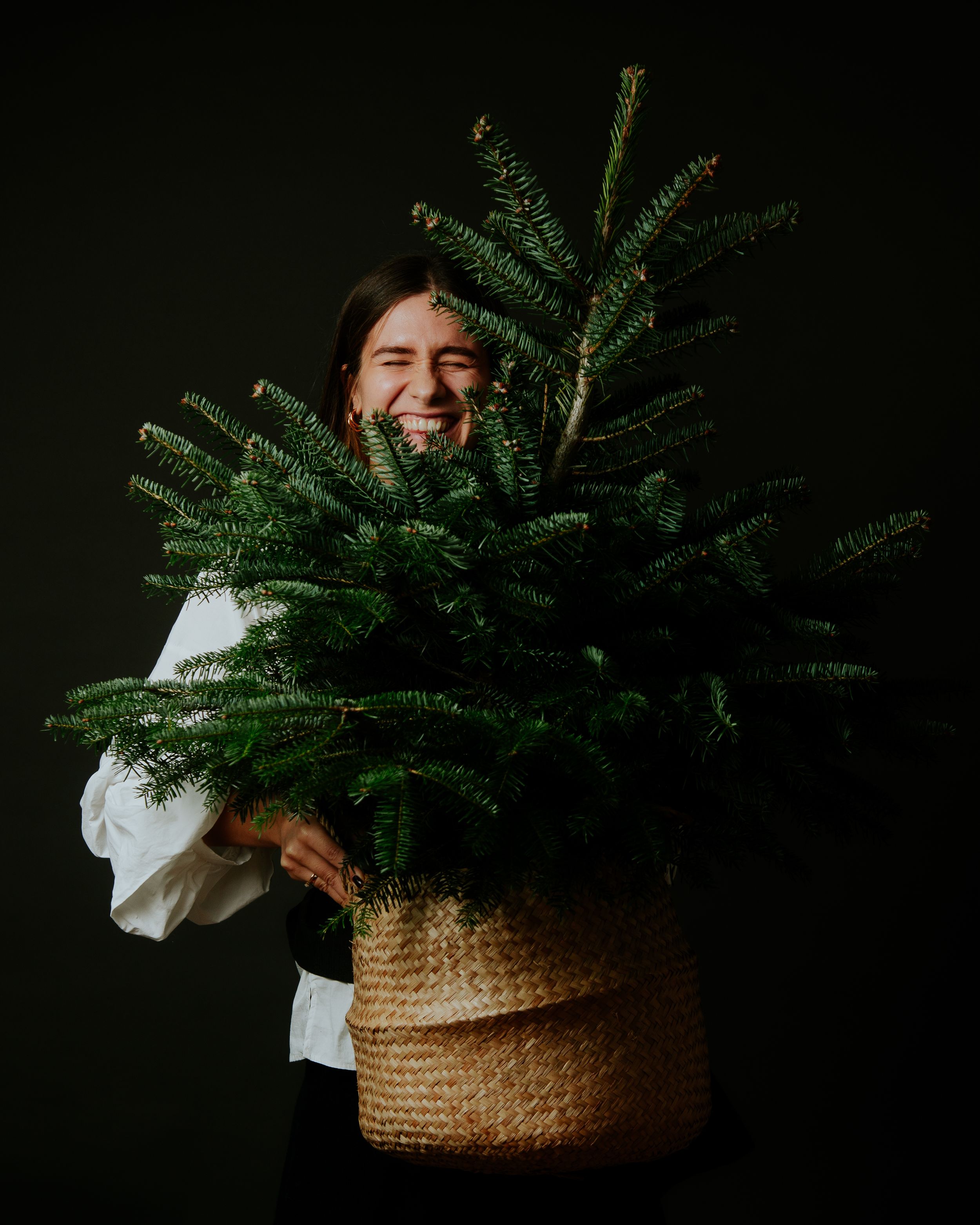 Fresh evergreen branch arranged in a woven basket against a dark background with moody lighting.