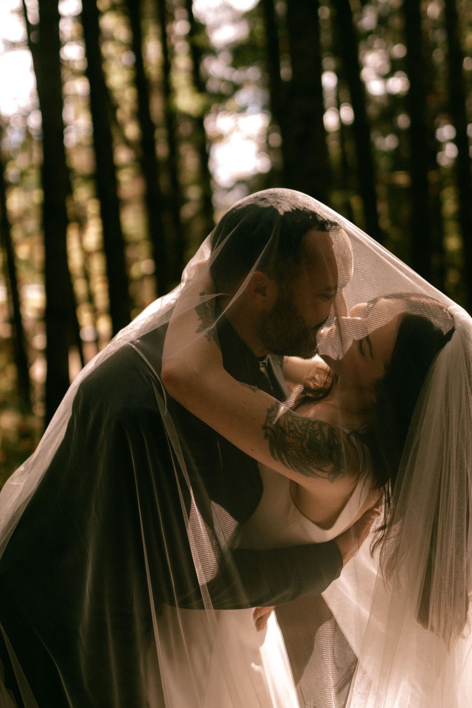 A romantic wedding couple shares multiple intimate kisses against a sunlit forest backdrop with flowing white veil.