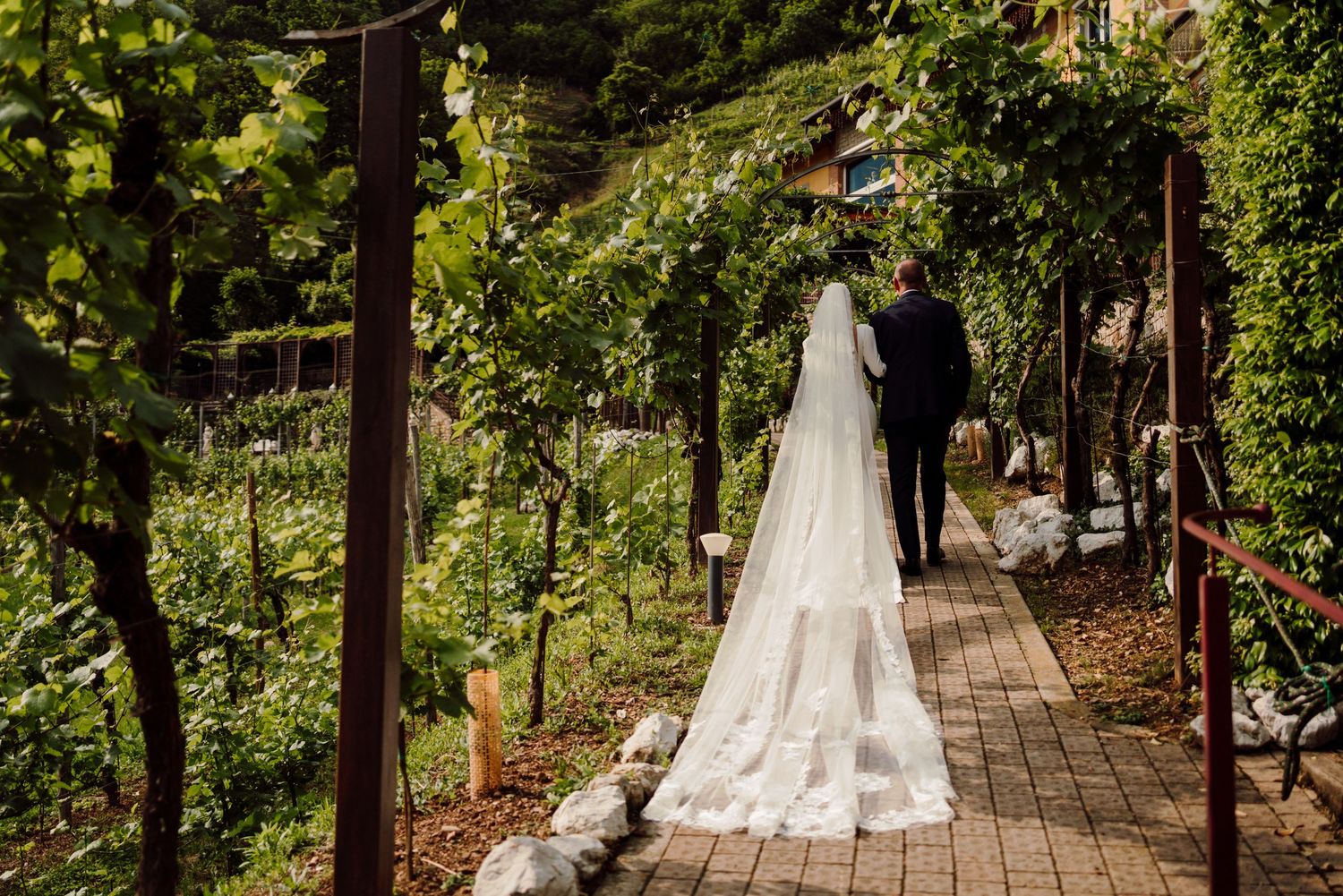 Bride and groom walk hand in hand through a lush vineyard garden on their wedding day.