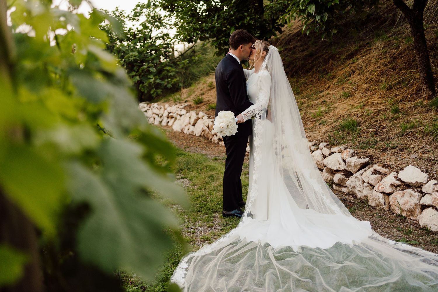 Bride and groom kissing among vineyard vines with brides long cathedral veil trailing behind.