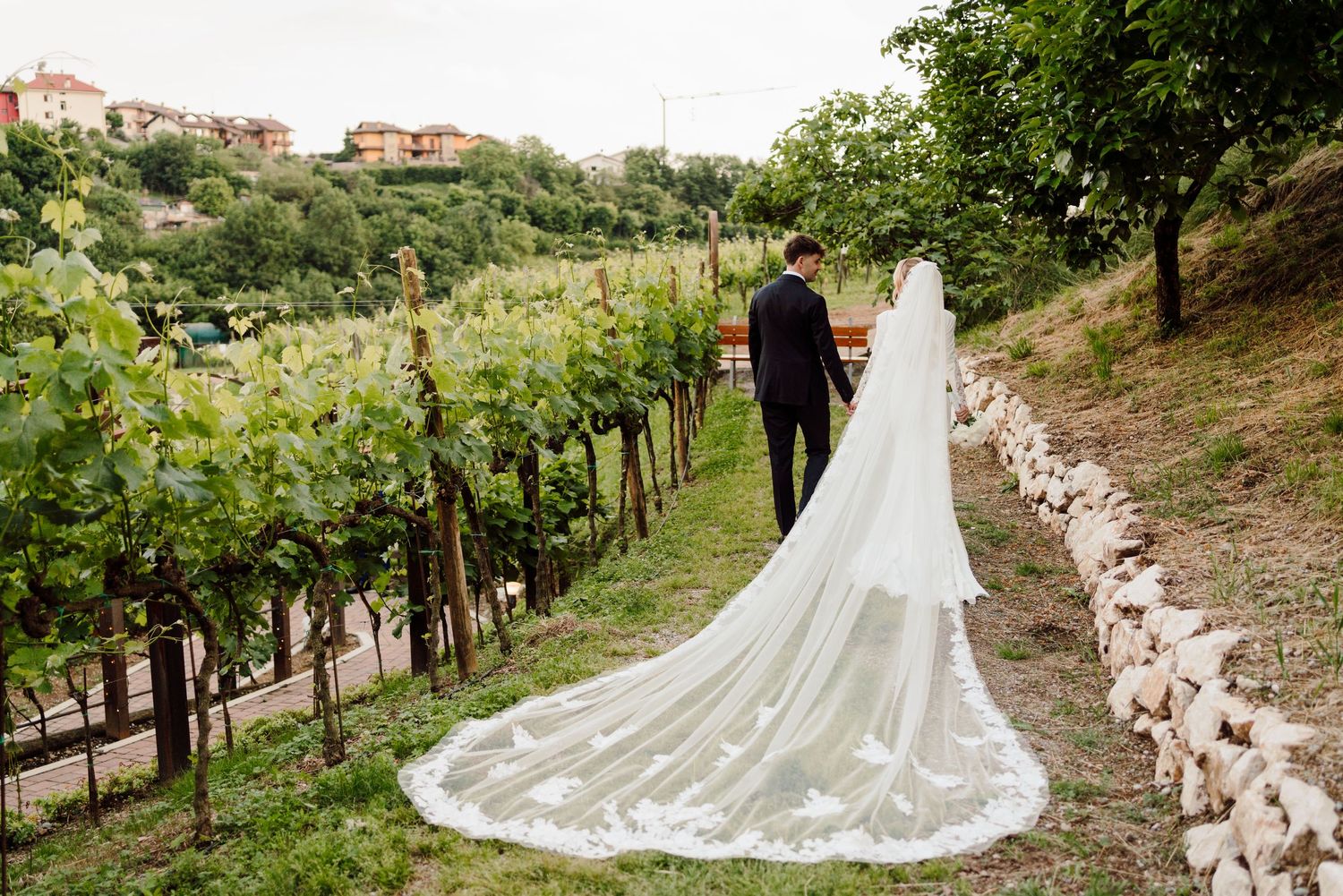 Bride and groom walking through lush vineyard, bride wearing long cathedral veil and elegant white gown.