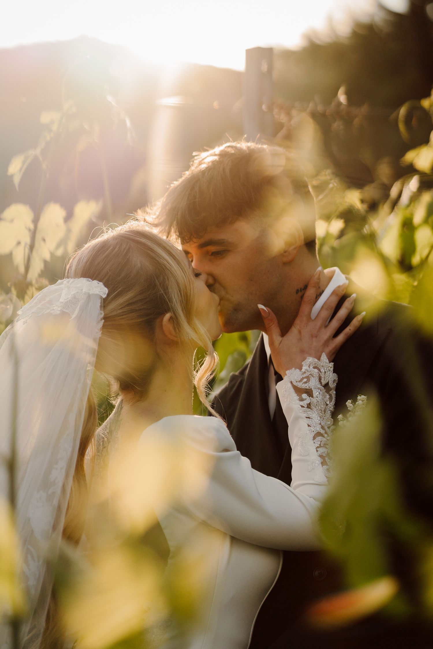 Romantic couple kissing in sun-drenched vineyard, golden backlight creating dreamy wedding portrait.