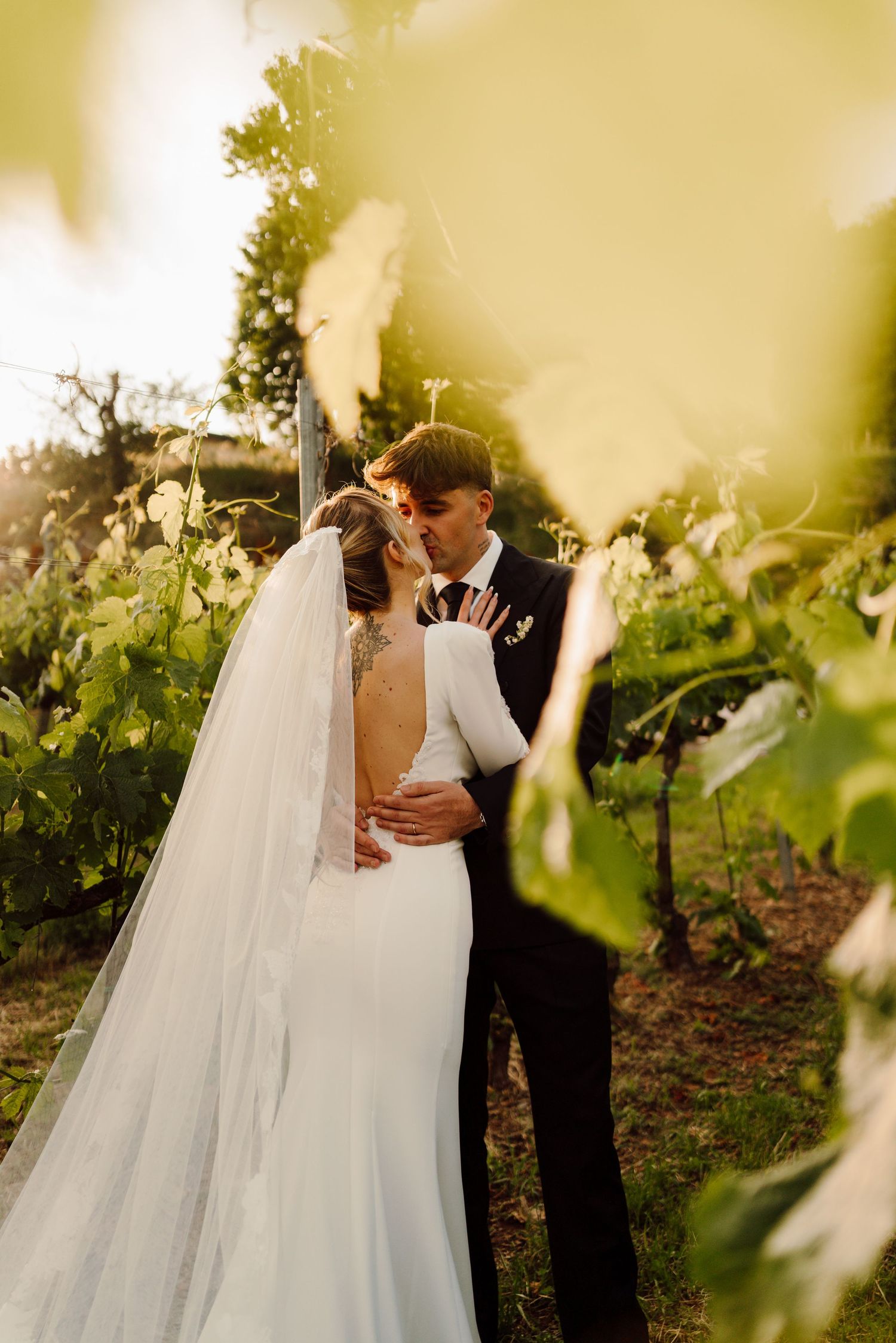 Bride and groom sharing tender kiss among vineyard rows at golden hour, cathedral veil trailing behind.