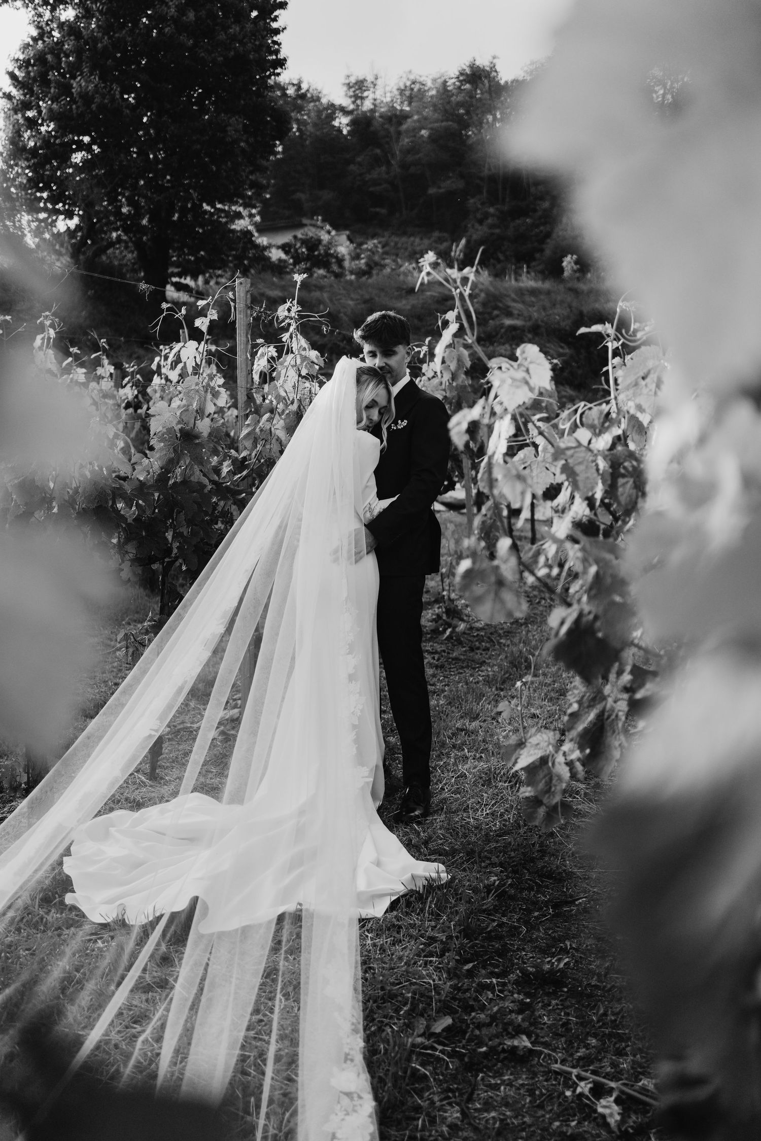 Dramatic black and white wedding portrait of couple embracing in vineyard, cathedral veil dramatically spread.