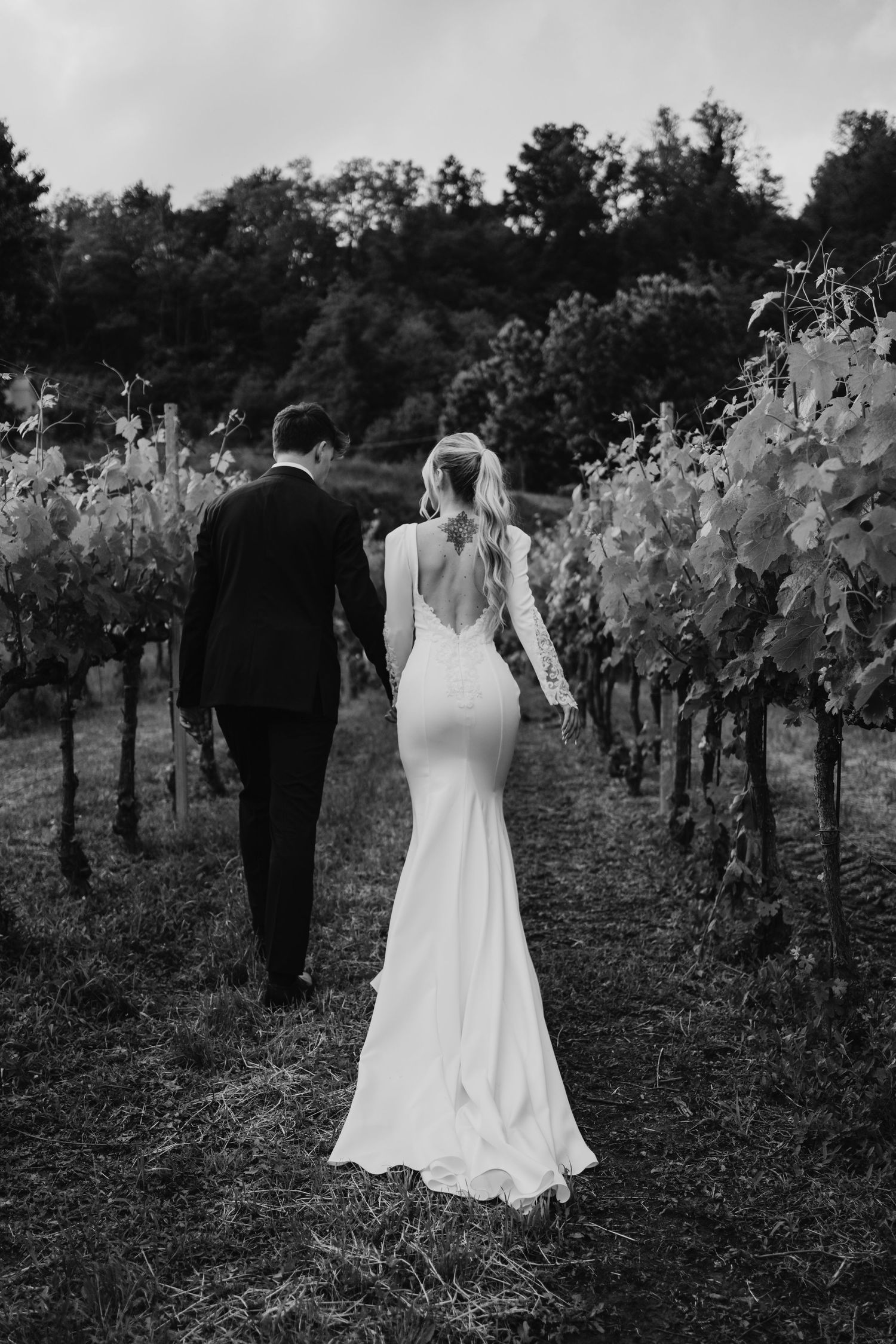 Black and white rear view of bride and groom walking hand in hand through vineyard rows.