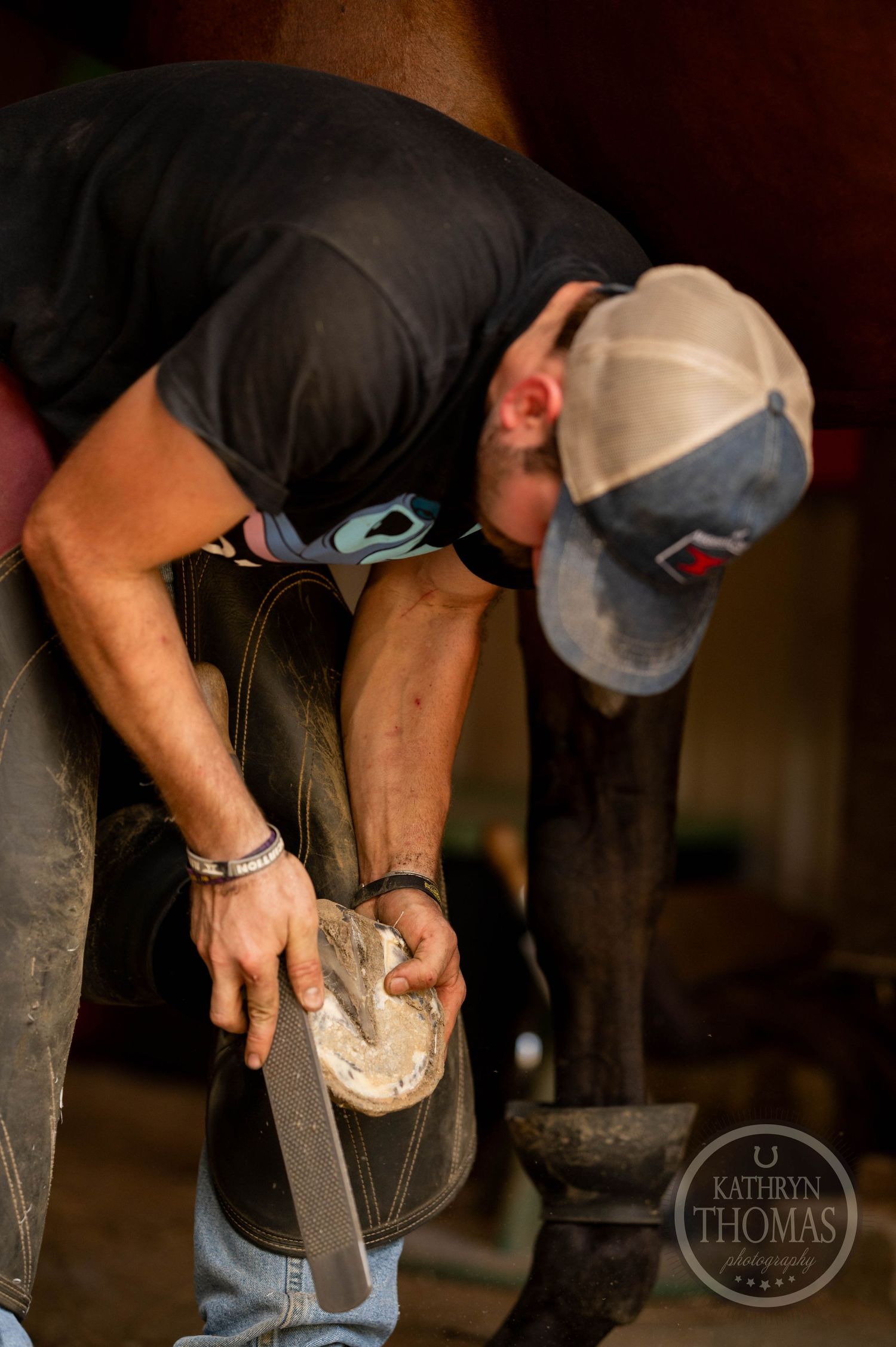 Farrier working to round the hoof.