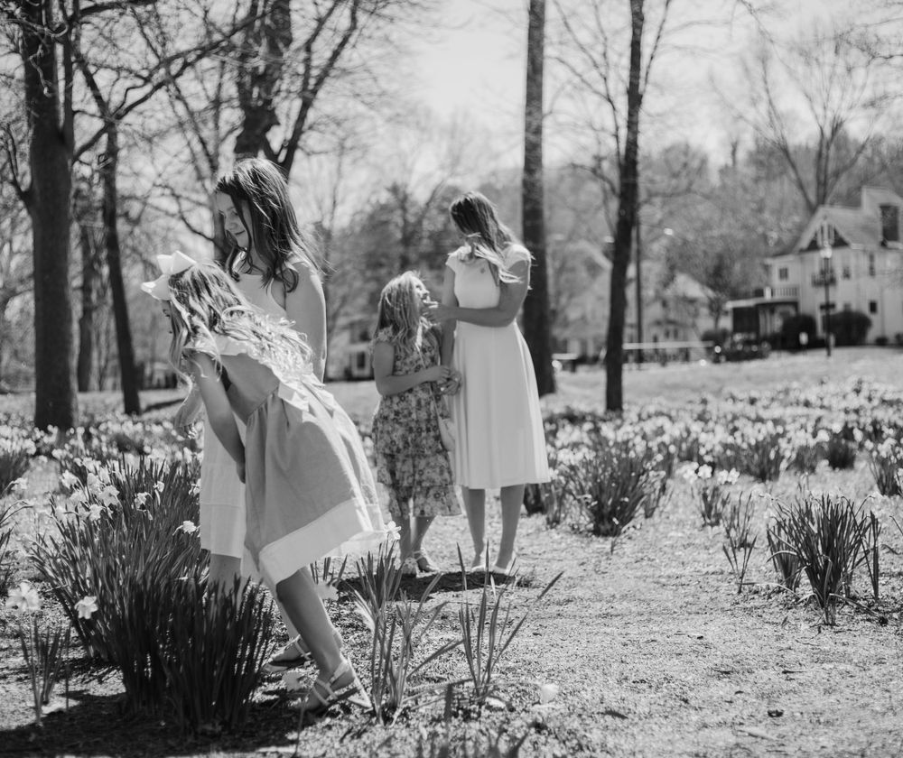 Artistic black and white panorama of people in a spring garden with daffodils.