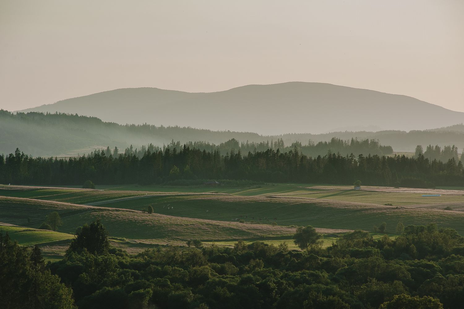 Widok w stronę Pilska z Jabłonki