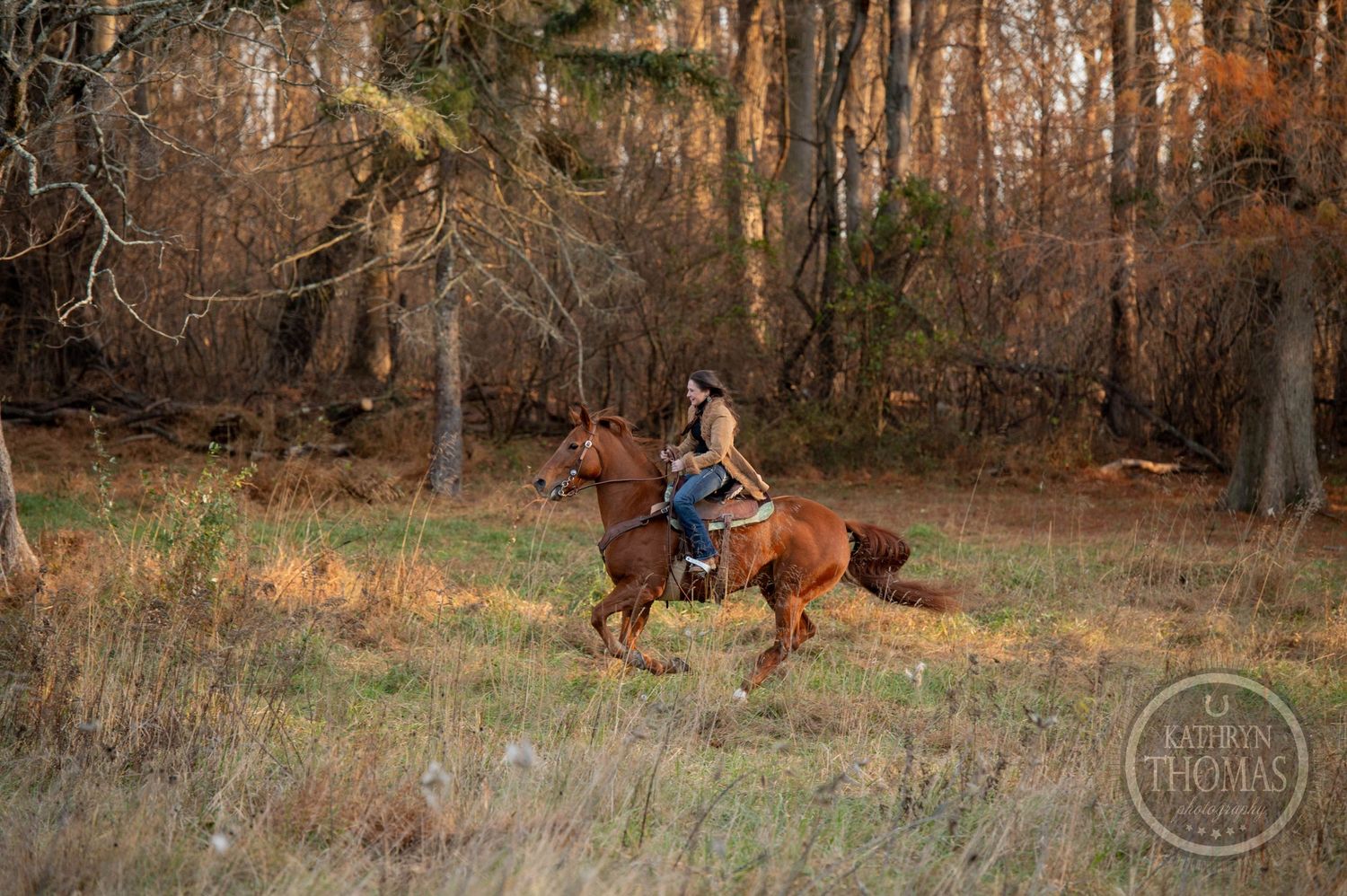 Horse and rider galloping through autumn field with trees in background.