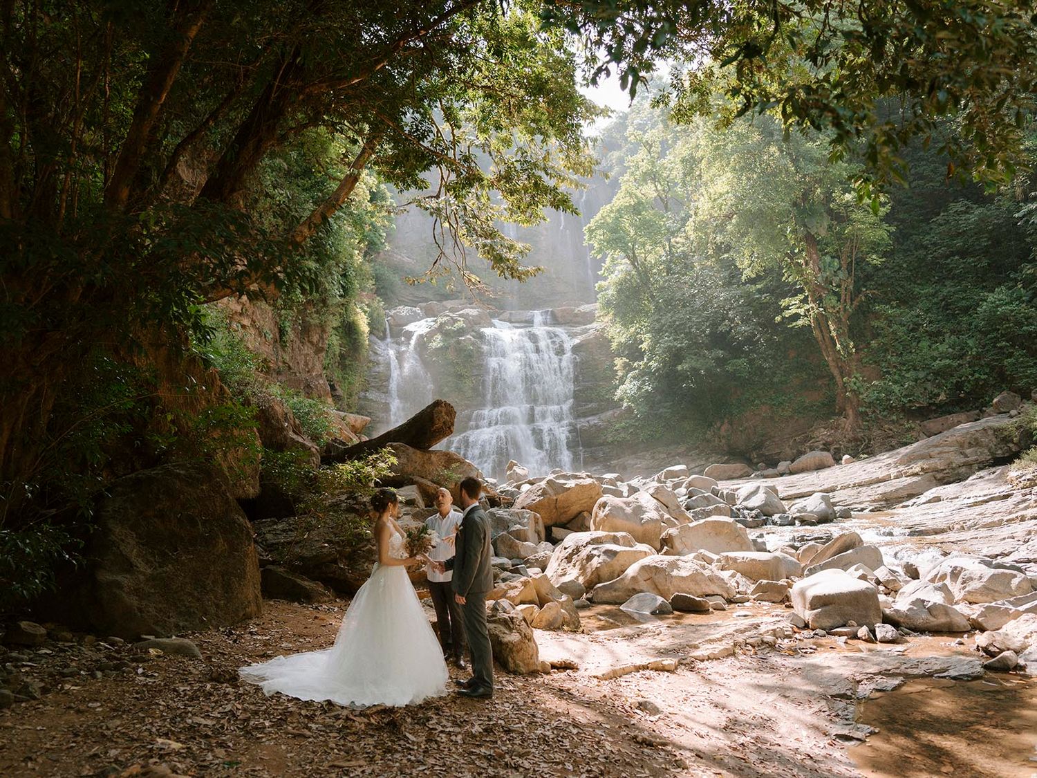Natural forest setting with waterfall and rocky terrain in soft lighting.