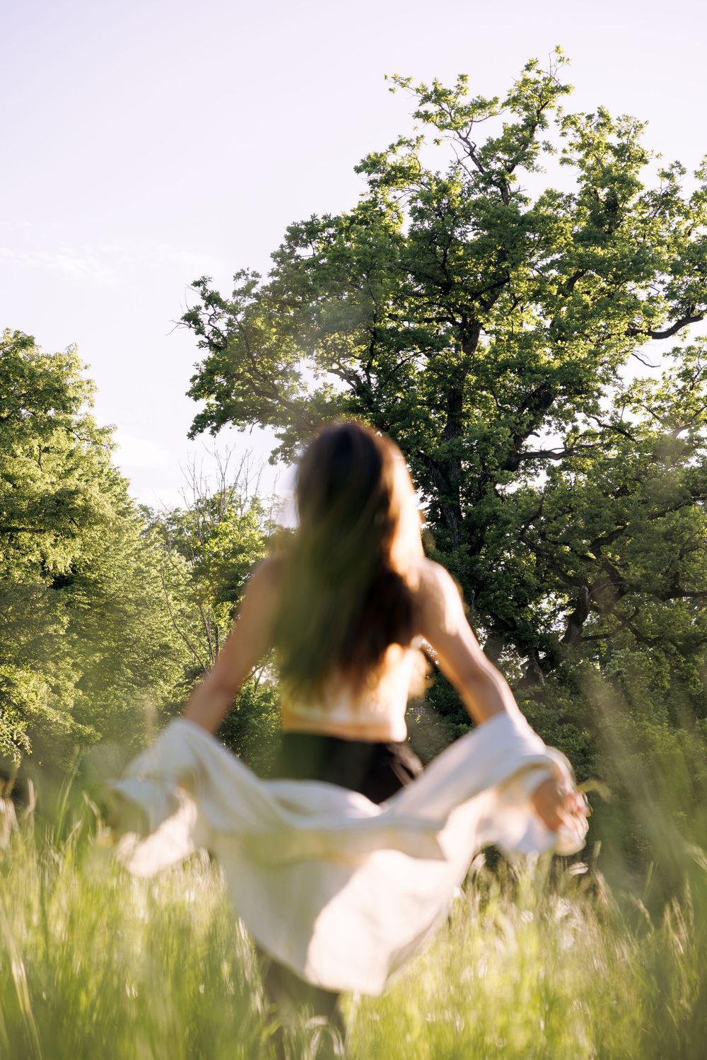 A sequence of joyful movements in a sunlit meadow with tall grass and trees in the background.