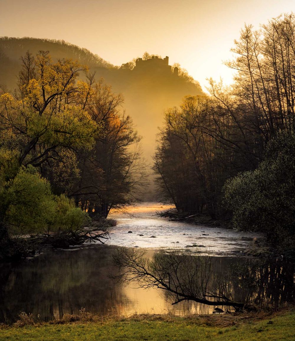 fotografie michal schneider foto photo photography údolí dyje řeka mlha slunce nationalpark thayatal podyjí les Profesionální fotograf cena