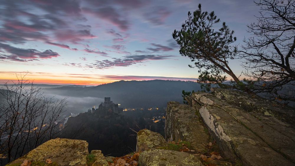 fotografie michal schneider foto photo photography údolí dyje řeka mlha slunce nationalpark thayatal podyjí les Profesionální fotograf cena