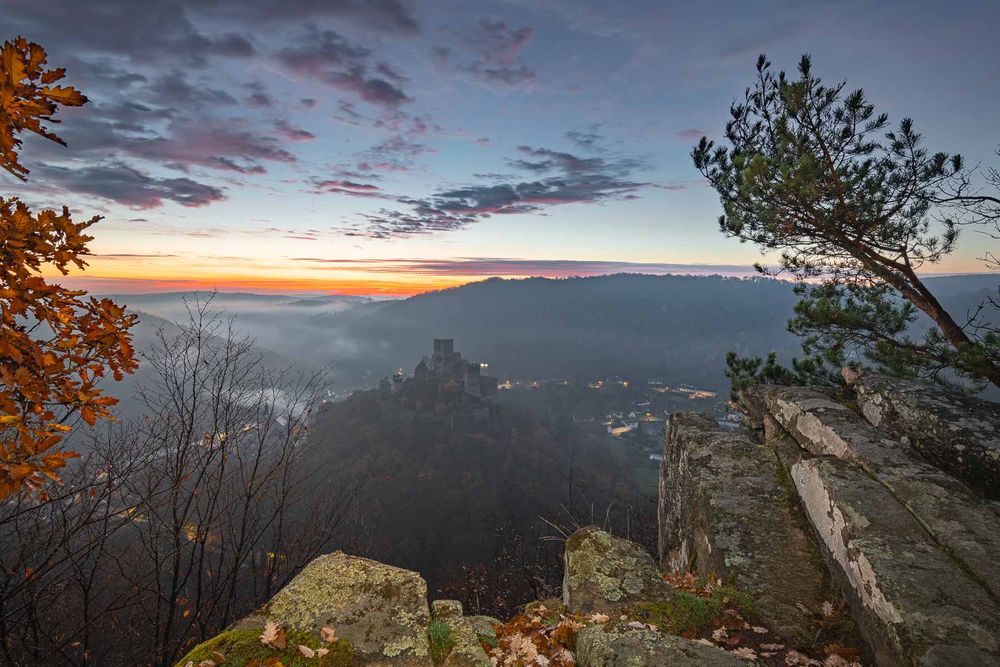 fotografie michal schneider foto photo photography údolí dyje řeka mlha slunce nationalpark thayatal podyjí les Profesionální fotograf cena