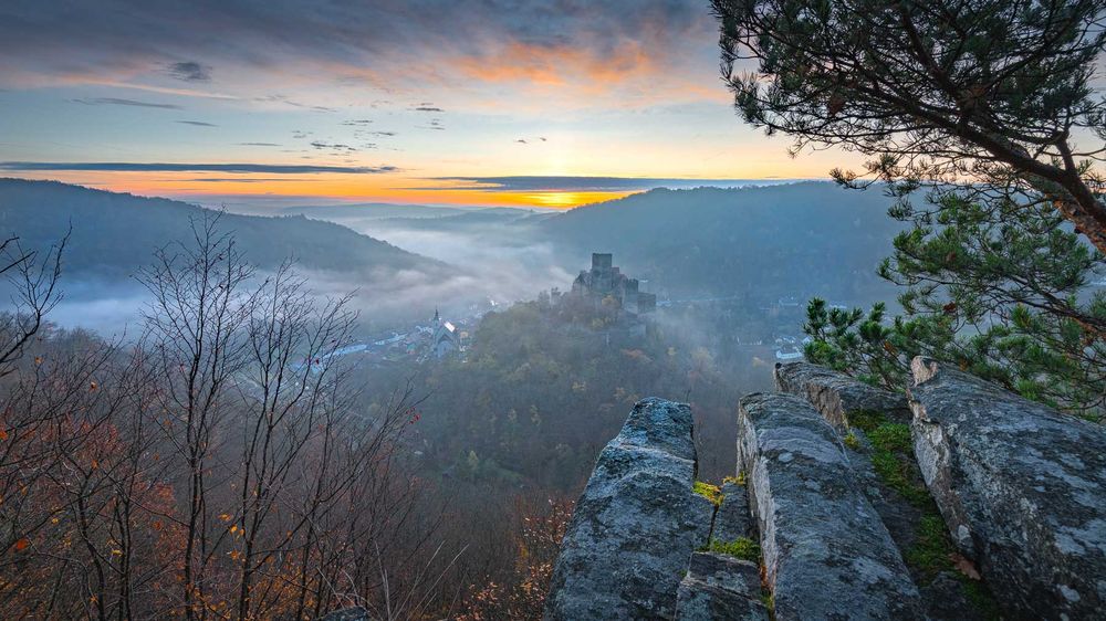 fotografie michal schneider foto photo photography údolí dyje řeka mlha slunce nationalpark thayatal podyjí les Profesionální fotograf cena