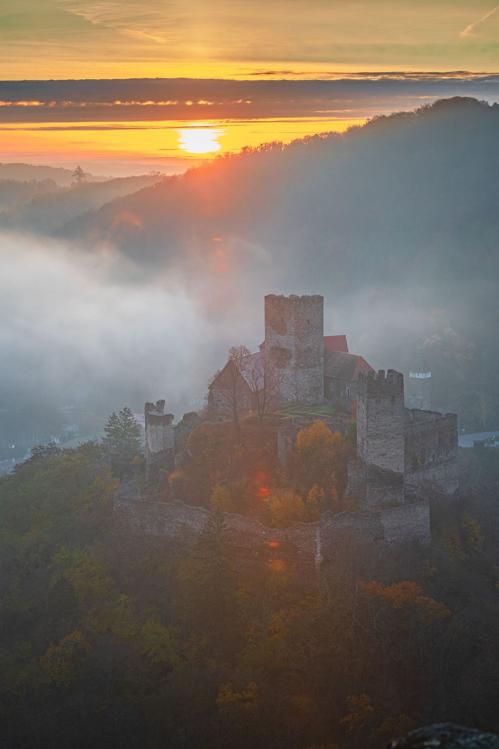 fotografie michal schneider foto photo photography údolí dyje řeka mlha slunce nationalpark thayatal podyjí les Profesionální fotograf cena