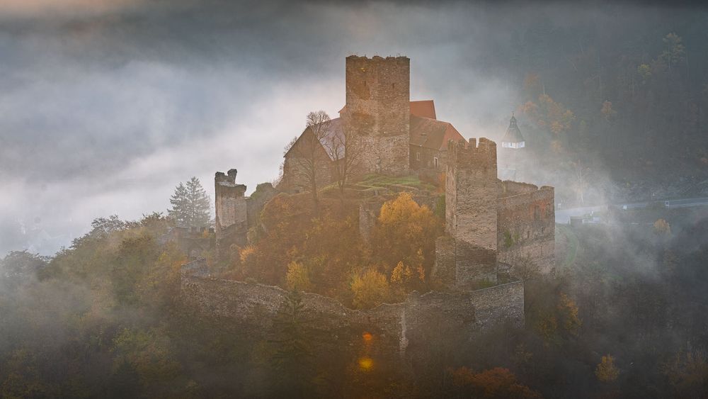 fotografie michal schneider foto photo photography údolí dyje řeka mlha slunce nationalpark thayatal podyjí les Profesionální fotograf cena