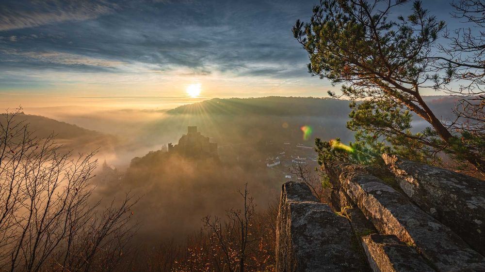 fotografie michal schneider foto photo photography údolí dyje řeka mlha slunce nationalpark thayatal podyjí les Profesionální fotograf cena