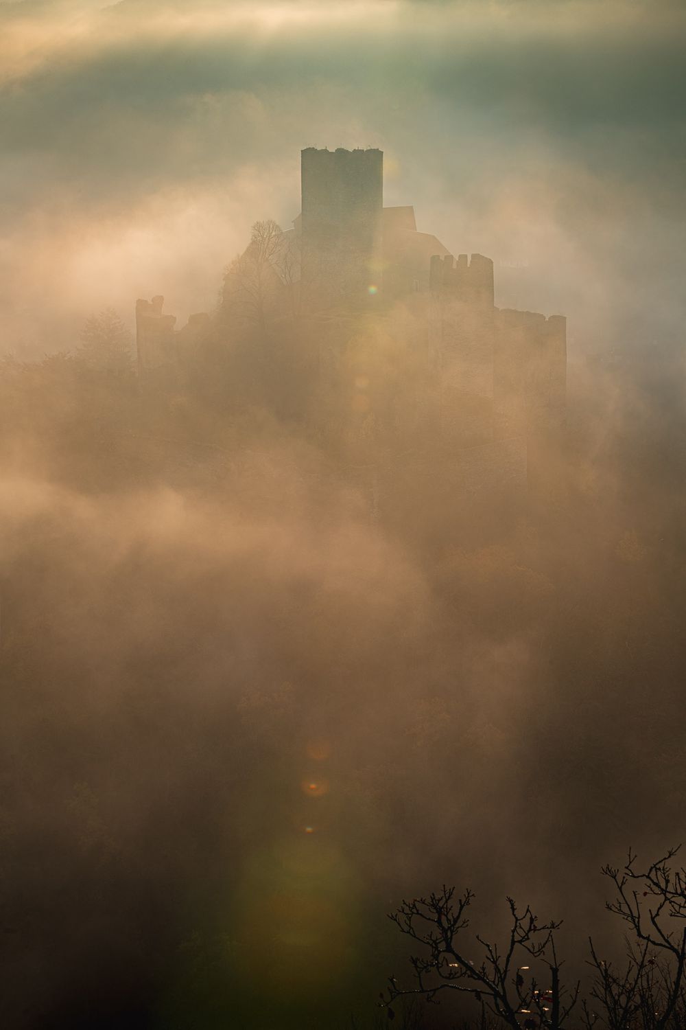 fotografie michal schneider foto photo photography údolí dyje řeka mlha slunce nationalpark thayatal podyjí les Profesionální fotograf cena