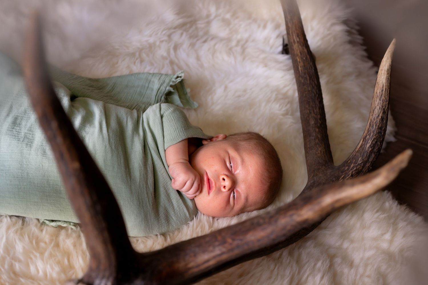 Newborn with antler prop