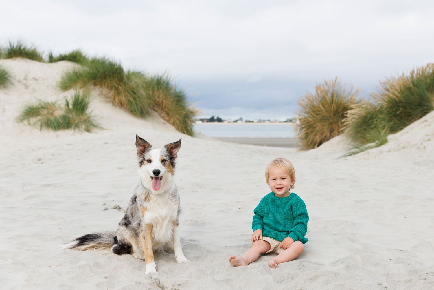 Small dog and toddler sitting together on sandy dunes under cloudy sky during a family beach photoshoot