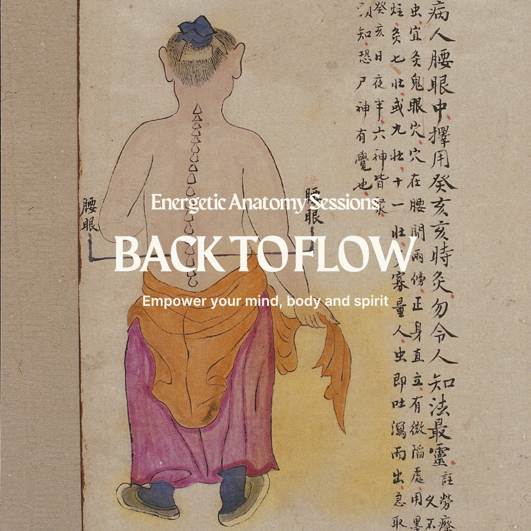 Back to flow_Yoga Korner