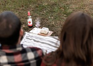 Overhead view of romantic picnic setup with wine and snacks on white blanket.