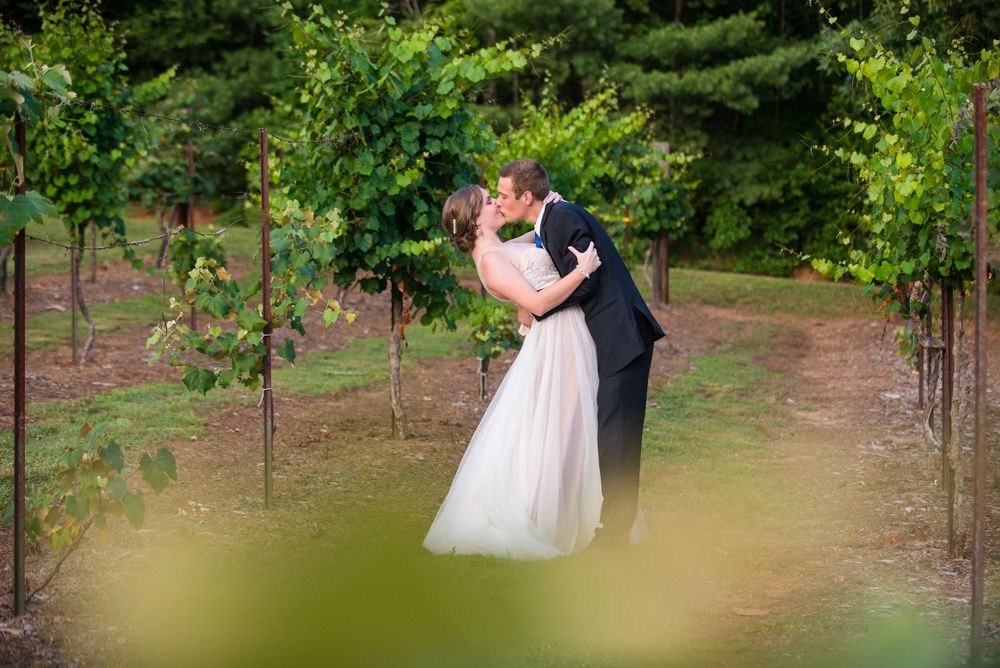 Romantic vineyard wedding photo of couple embracing among the grapevines.
