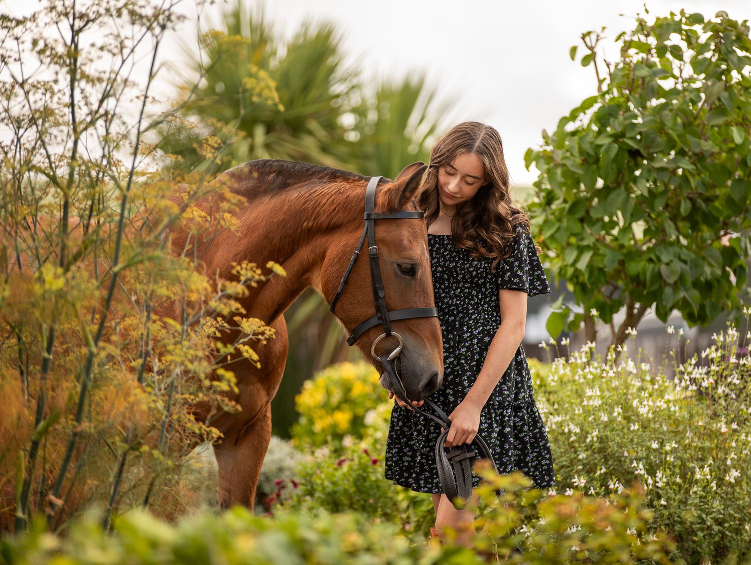 A series of seven photos showing a white horse and rider interacting at a wooden fence in an outdoor setting.