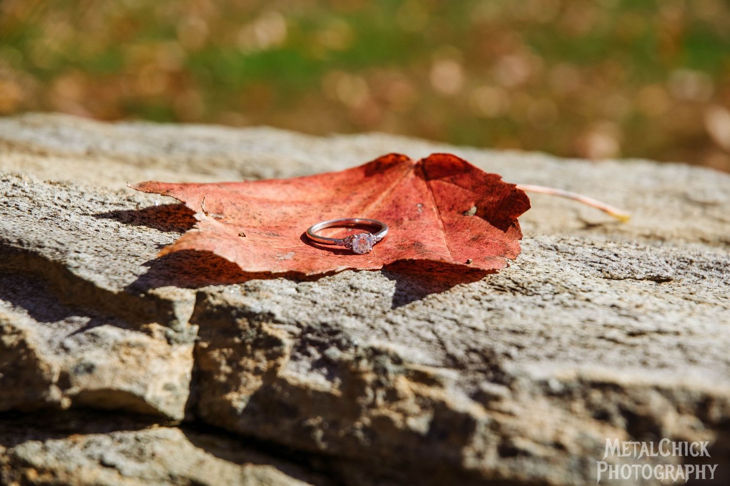 Enagement photo by Northern Exposure featuring a close-up of the engagement ring on a maple leaf.